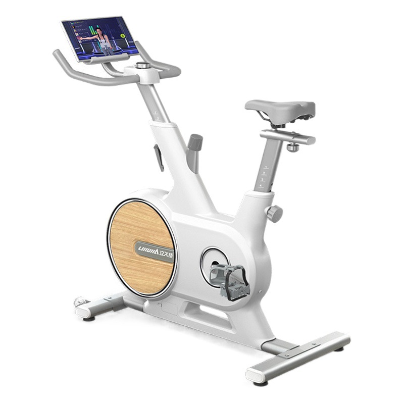 Lijiujia D500 Bicicletas dinámicas al aire libre de montaña Bicicletas domésticas para perder peso Deportes en interiores Ciclismo de fitness