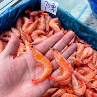 �B�^���r����ɼt�r���r�������� ����10kg/�����7kg ���r�����r