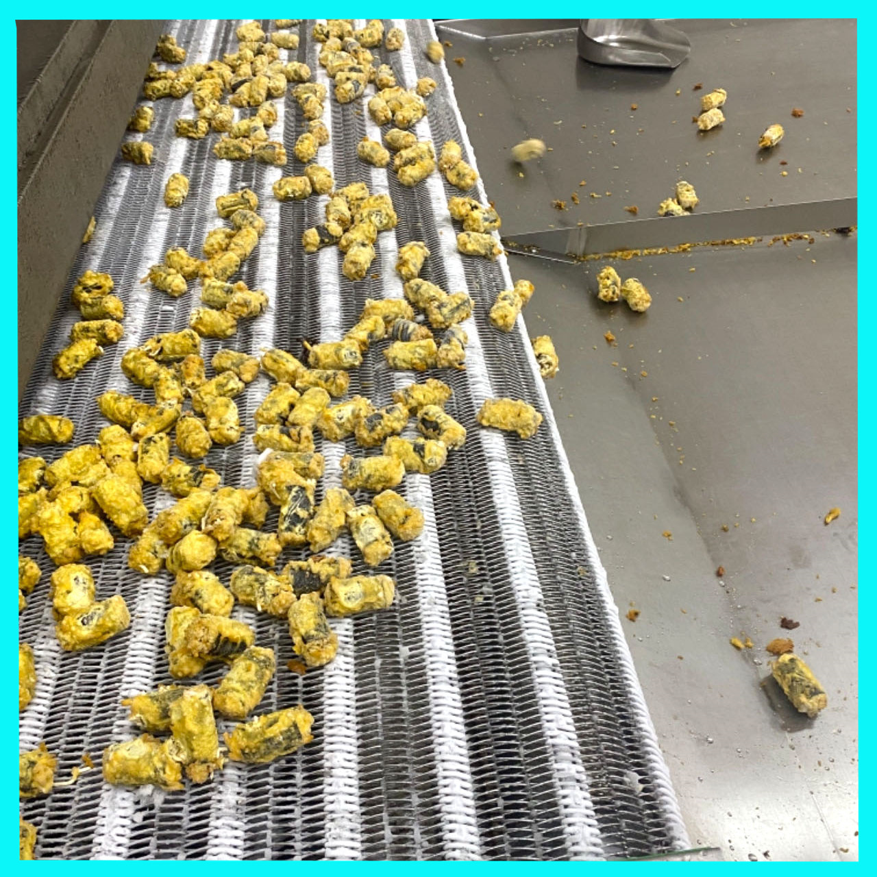 紫菜卷加工设备 海苔包粉条上浆油炸速冻生产线机器 海苔卷油炸线