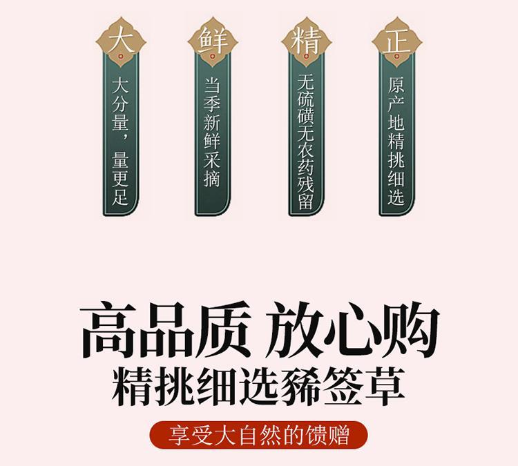 Xixiancao Dried Herba Siegesbeckiae 500g Traditional Chinese Herb for Decoction and Tea overview