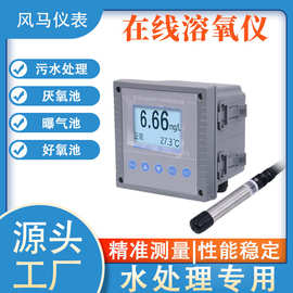 工业溶氧仪 在线溶解氧监测仪  DO检测仪 溶解氧仪