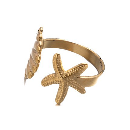 Tena Anillo de acero inoxidable de estilo europeo y americano Diseño de nicho femenino Playa de vacaciones Anillo de acero de titanio Joyería de explosión transfronteriza