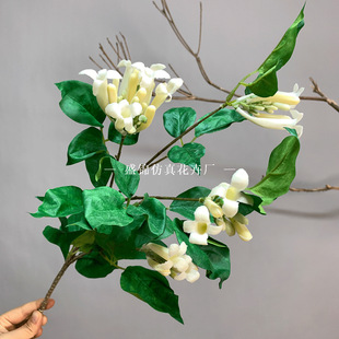 �¿����ٻ����̻� ��c ��Y�� �F���廨�zӰ ��c�������̻�