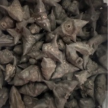 ���l��� ˮ��� �L����Nș��