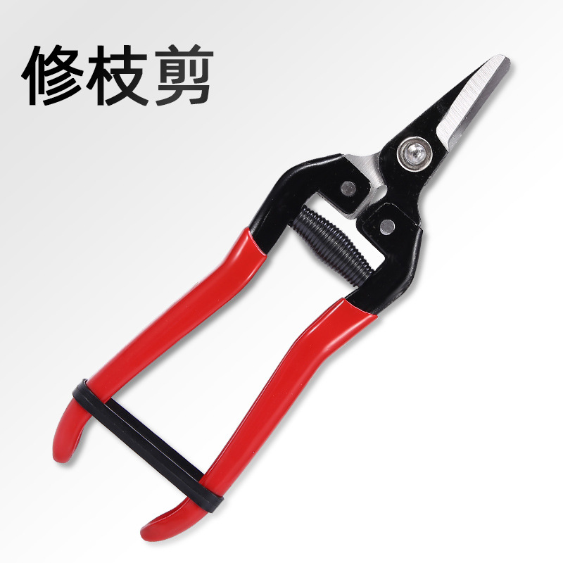 短翘头摘果剪修枝剪桔子剪整枝剪花剪园艺剪发黑果树整枝剪刀直头