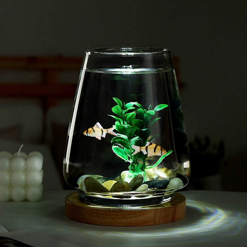 Супер белый креативный круглый стеклянный аквариум креативный экологический маленький ведро аквариум ночник мини-цилиндр Гостиная Офис Рабочий стол