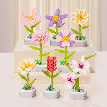 ��RС�w�����Էeľ����ƴ�b�ٺϻ�����ܰ�ҾӔ[��Ů�����նY��