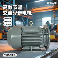 YE4高效三相异步电动机六极5.5kw