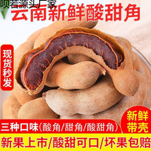 yyAz�������خa���r����������_�������e��ʳɢ�b�������