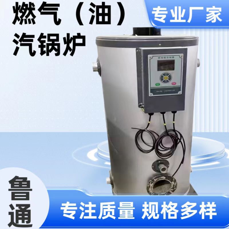 Gas and Electric Dual-Purpose Boiler for Heating and Bathing in Hotel Dormitories, Small Vertical Gas Boiler