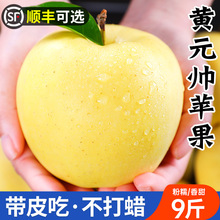黄元帅苹果新鲜水果当季奶油红富士粉面刮泥黄金帅烟台香蕉平安果