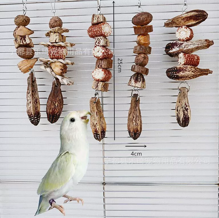 Игрушка-птица-попугай, затачивка, укус, укус, укус, укус, укус, укус, укус