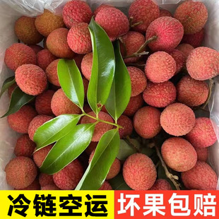 �������r��֦���~5��Fժ�l���FζŴ�����M�������������ˮ���|