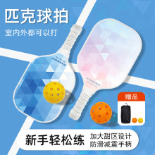 �F؛���uƥ�����������b�����w�SPickleball�I�����p�Ď��򹩑�