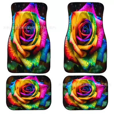 Avtomobil döşəmə paspasları — carpet four-piece stain-resistant floor mat - rz-rose-6-33-44cm-two-pieces