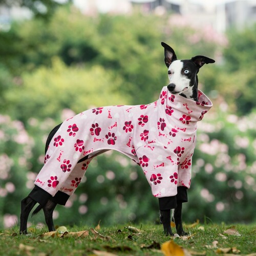 Cross-border Amazon dog pet sunflower print high collar clothing fashionable autumn and winter bare belly four-legged clothes pet clothing