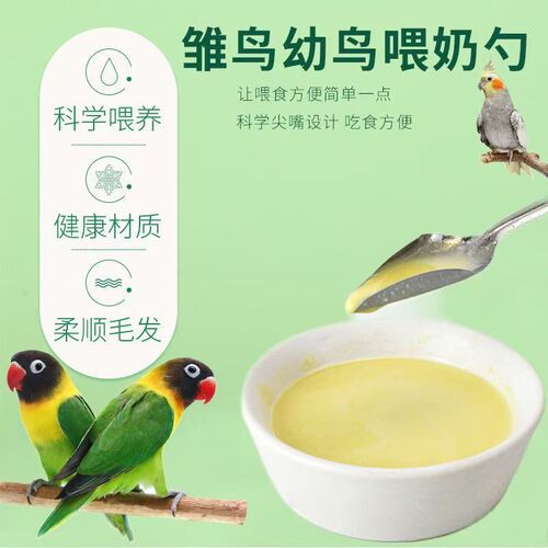 Parrot feeding device, hand-raised myna, black phoenix, tiger skin, baby bird milk powder feeding spoon, stainless steel spoon