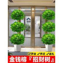 XŴ҃ؔuX͏dֲŘkҾGֲļ