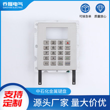 P䓽ٹIIP 20IܴaIP ʯIP