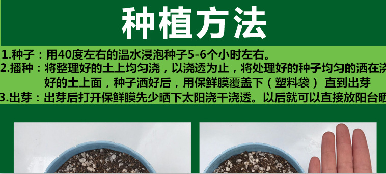 gWmWivOiz9St5Ja2ZAYzYEk9JnQmpHcgF5aY