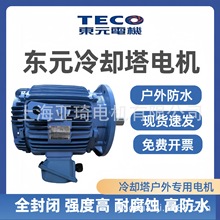 无锡东元电机AENM-VS-PAQ05-180LC 20HP-6极冷却塔专用电机