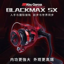 25BLACK MAX SX΢／܇݆ҎhͶˮ·O݆