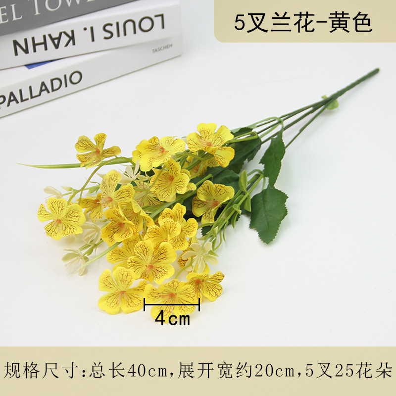 Yellow, orchid