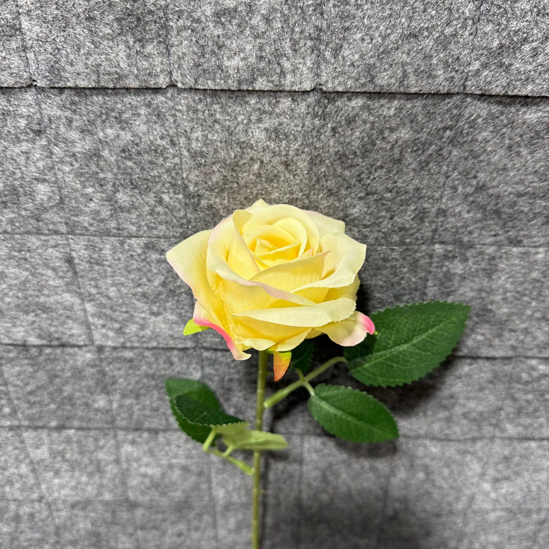 샴페인 가루