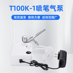 Wholesale Mini Air Pump Set Model Spray Paint Color Painting Spraying Machine T100K-1 Nail Art Spray Gun Air Pump