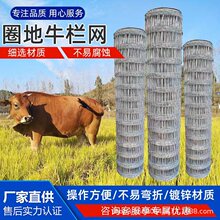ţ�ھW��ԭ�Bֳ�W䓽z�W��\�F�z�W����30��/50���r���Bֳ��