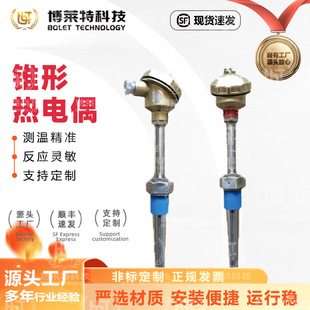 Cone thermal resistance WRN- WRE power station thermocouple temperature sensor needle temperature measurement special wear-resistant source manufacturer pin