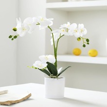 羳ƺm辰ɫ컨ϻٻm춼ͥb