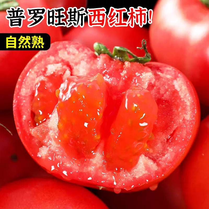 正宗普罗旺斯西红柿沙瓤自然熟新鲜现摘发货水果番茄