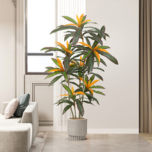 ���Wins�Lֲ��t�F�����ľ���ԼپGֲ�辰�҃ȿ͏d����b�