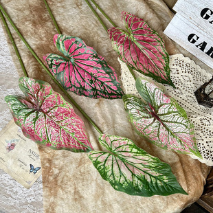 3D��ӡ��֧���溣���~�Gֲ�����쾰�Ҿӱڒ��b�Y���ľGֲ���l