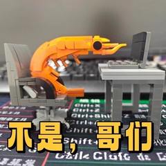 不是哥们积木虾moc摆件益智拼装玩具网红热梗创意恶搞模型男女孩