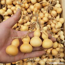 �a��ֱ����Ȼ���J ��������С���J ���������������J�����