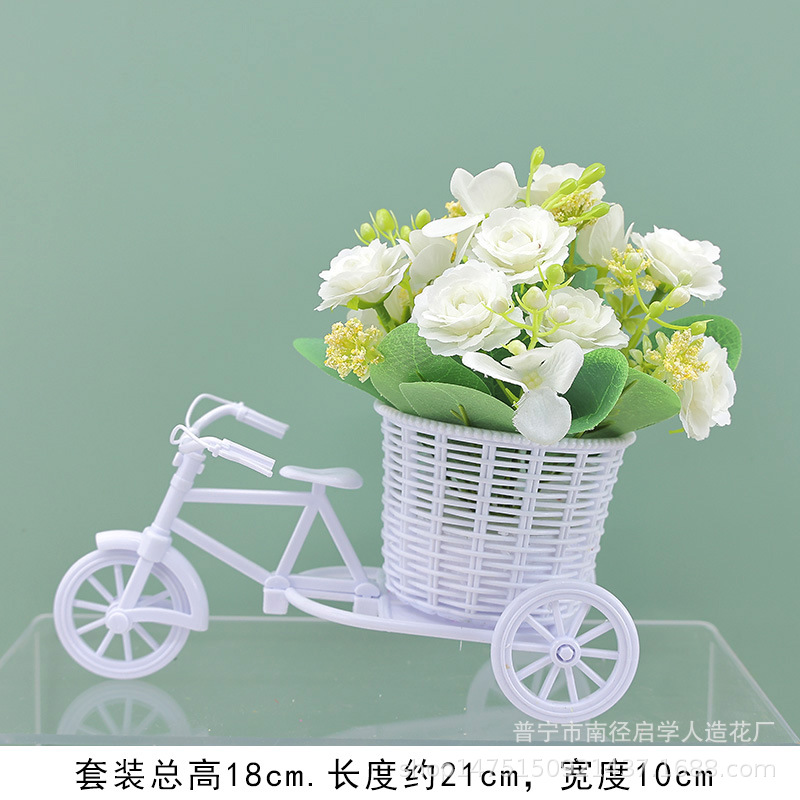 [플로트 + 샴페인 로즈 화이트]]