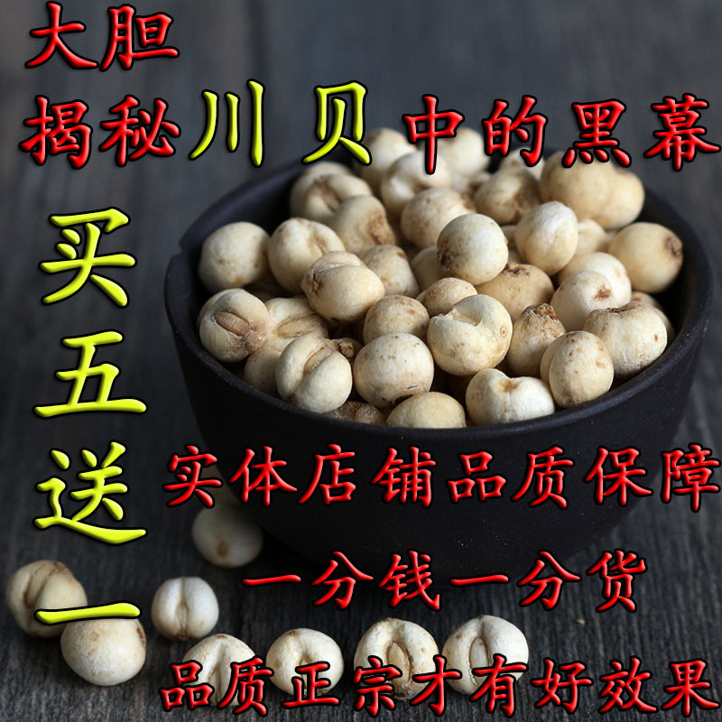 川贝四川仿野生种植川贝母无硫不含二氧化硫可磨川贝粉50g买5送1
