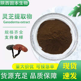 灵芝提取物 灵芝多糖 水溶性灵芝粉 药食同源 多规格现货包邮1KG