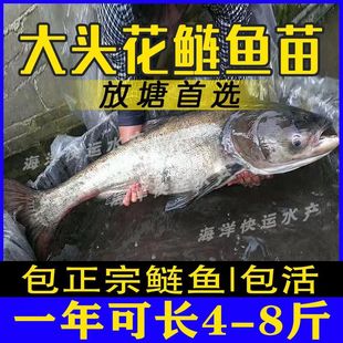 �����~����^�~���^�~���I�����~����~�����~�a�~���~���~�����l