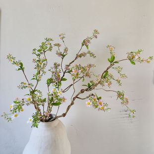 ���滨�٘仨�Ĵ��z���Ļ�c�Ƶꙻ���b�픻�ˇ�ٻ�����Ұ����