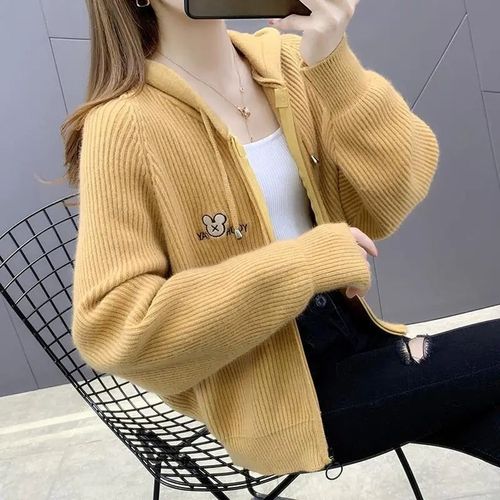 Casual Short Women's Jacket Spring and Autumn Season Korean Style Loose Fashion Small Figure Hooded Solid Color Knit Cardigan