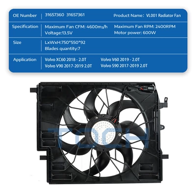 Electronic Fan, Fan