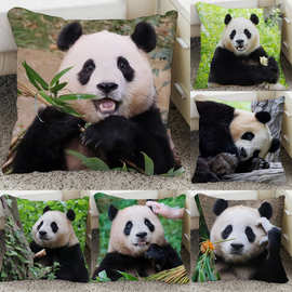 福宝抱枕头图片制作diy熊猫靠枕生日礼物送朋友闺蜜