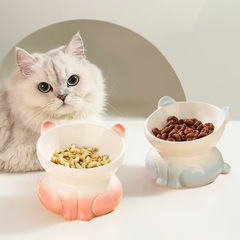 アマゾンは陶磁器の猫の碗の猫の碗を輸出します。