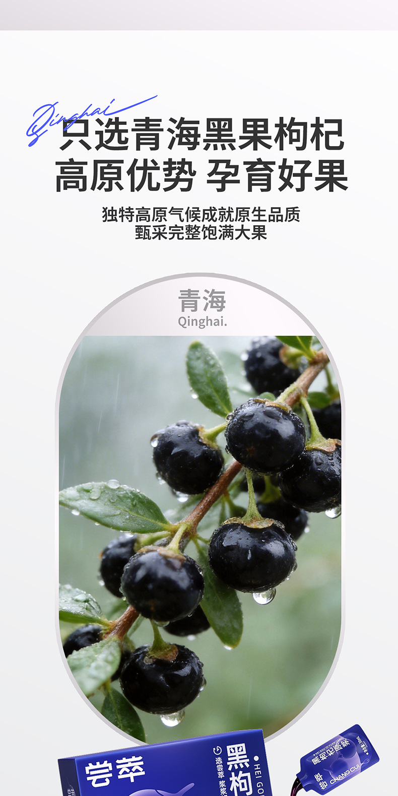 Black Goji Berry Juice Concentrate 300ml Box 10 Sachets Ready to Drink quality and texture