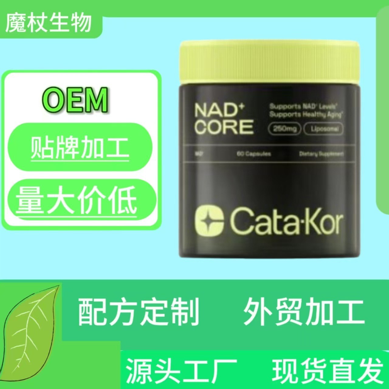 跨境爆款Cata-Kor新款热销NAD+烟酰胺核糖核苷NAD+Nicotinamide
