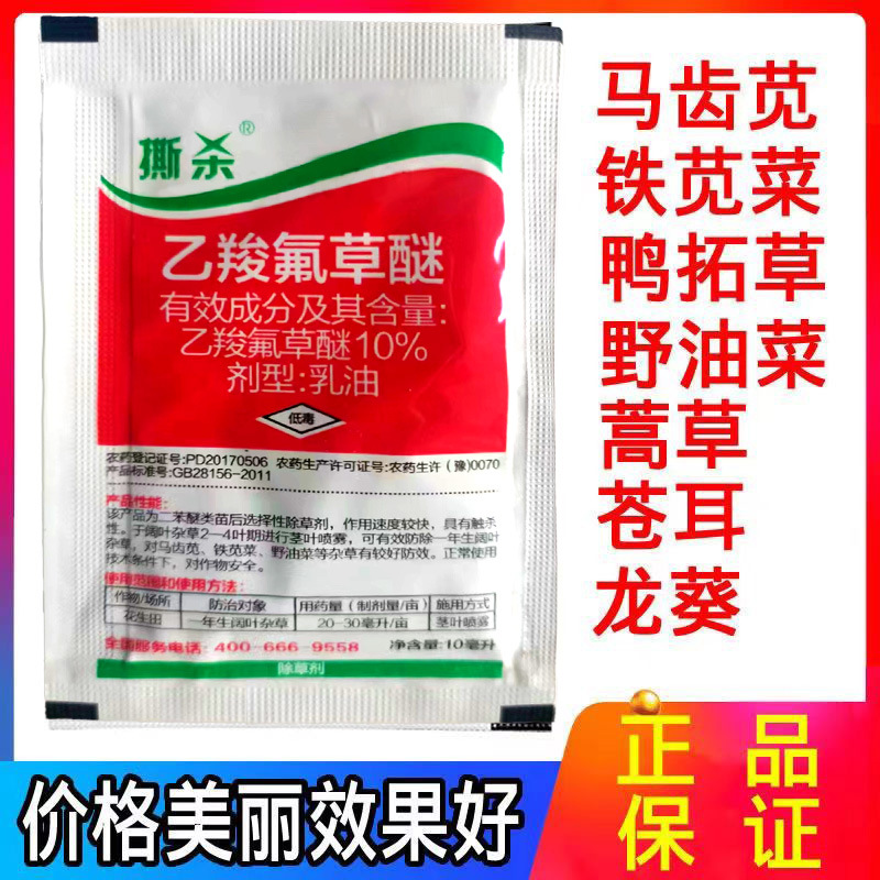 微信图片_20240927102123