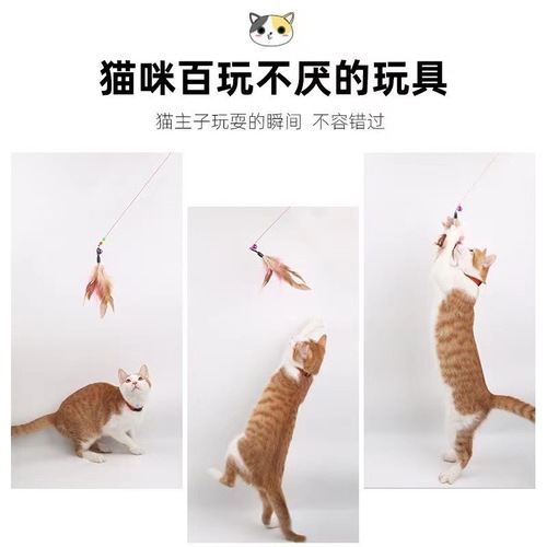 Factory direct sales classic cat funny rod steel wire feather bite resistant cat funny rod pet cat toy supplies wholesale